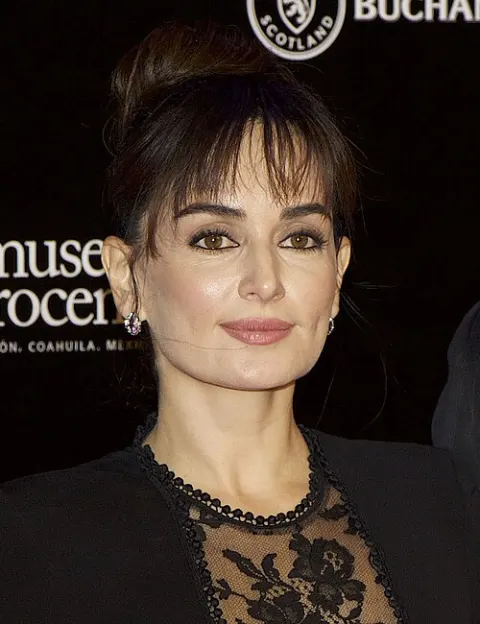 Ana de la Reguera, actrice de telenovelas