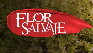 Visuel de la telenovela Flor salvaje (colombienne, 2011)