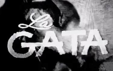 Visuel de la telenovela La gata (mexicaine, 1970)